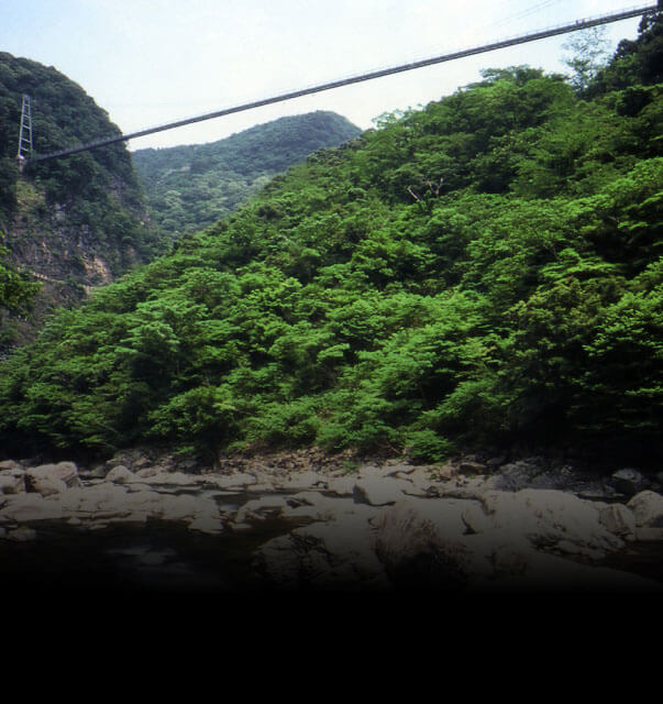 照葉大吊橋